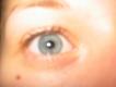 I spy with my larger eye