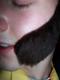 attack of the close up6